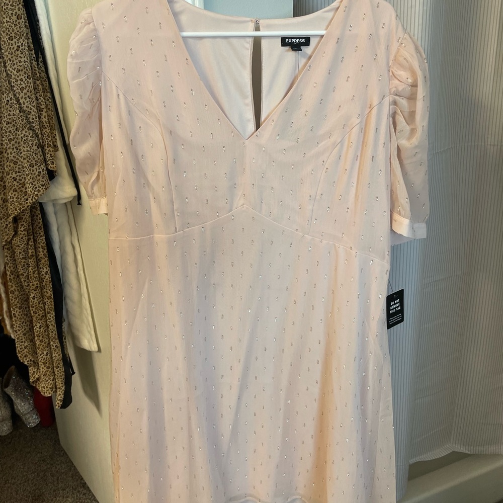 Brand new Express dress